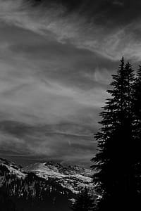 Mountain And Trees thumbnail