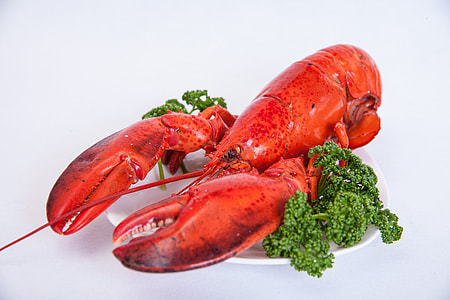 lobster on ceramic plate thumbnail