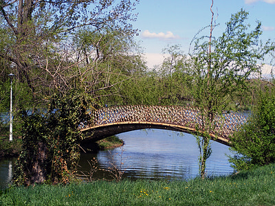bridge surrounded by trees thumbnail
