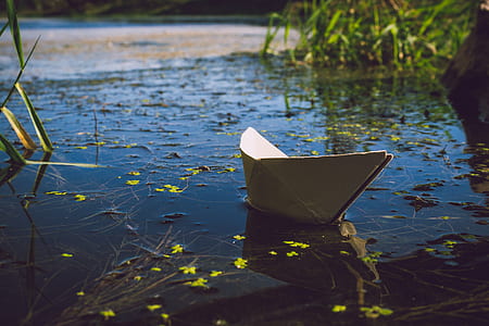 Photo of White Paper Boat on Body of Water thumbnail