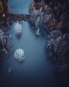 aerial photo of trees near river at noontime thumbnail