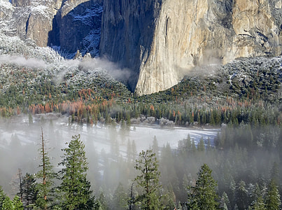 gray rock formation surrounded with trees and mist thumbnail