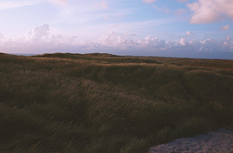 grass field under white clouds thumbnail
