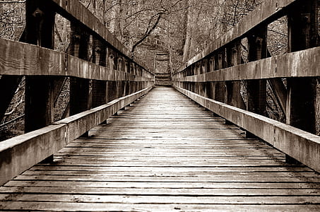 brown wooden bridge beside trees thumbnail