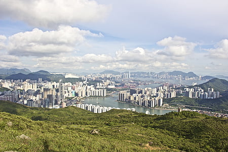 white and black high-rise buildings under white and blue sky at daytime thumbnail