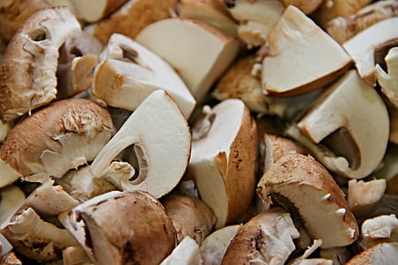 jackfruit seed lot thumbnail