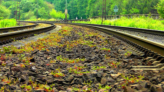 brown train rails during daytme thumbnail