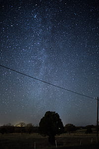 silhouette of tree under sky with stars thumbnail