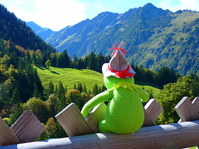 Kermitt the frog sitting on terrace facing mountain thumbnail