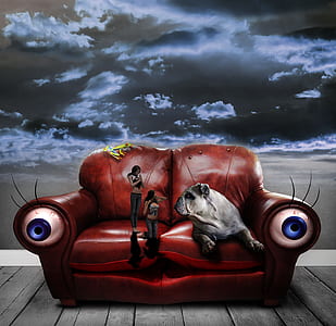 two women on sofa beside dog thumbnail