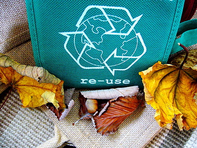 green fabric bag thumbnail
