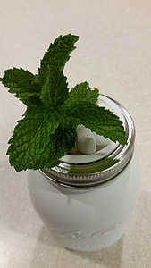 Mint, Mason Jar Hydroponics thumbnail