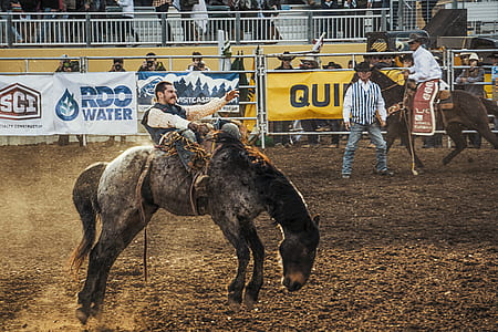 man riding a horse thumbnail