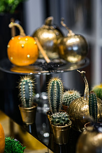 Golden ornamental pumpkins with cactuses thumbnail