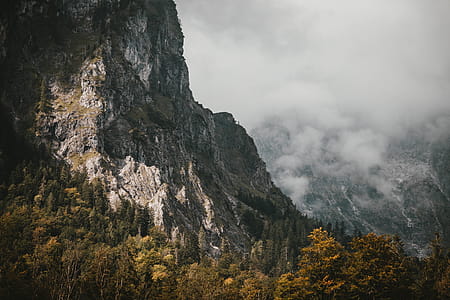 Mountain and Trees thumbnail