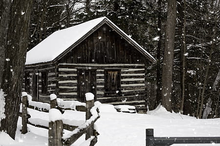 Snowy Brown House Near Tree thumbnail