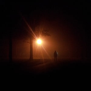 silhouette of person standing under leaf trees at nighttime thumbnail