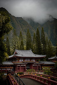 photo of gray and white house surrounded by plants thumbnail
