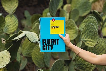 person holding blue book thumbnail