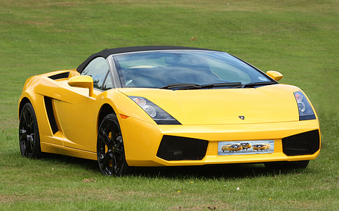 yellow and black sports car in green grass thumbnail
