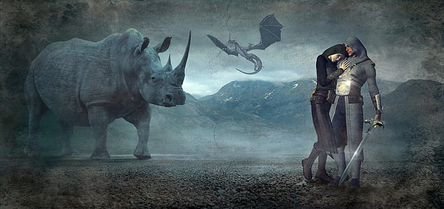 man holding sword near grey rhino painting thumbnail