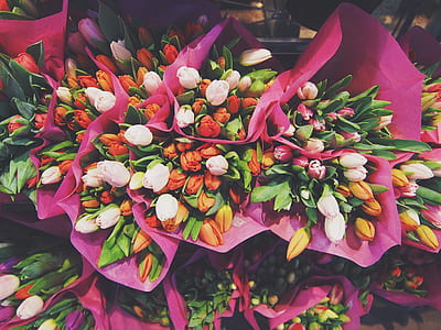 bouquets of multicolored flowers thumbnail