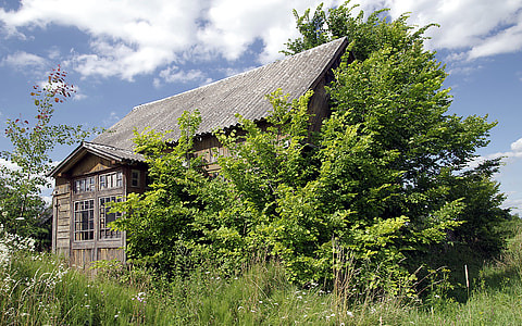 brown and gray house beside tree thumbnail