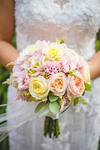 flowers, petals, blur, leaves thumbnail