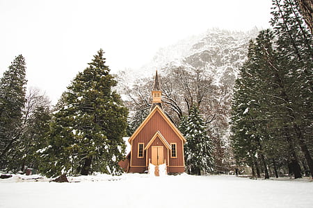 brown wooden house surrounded by trees near mountain at daytime thumbnail