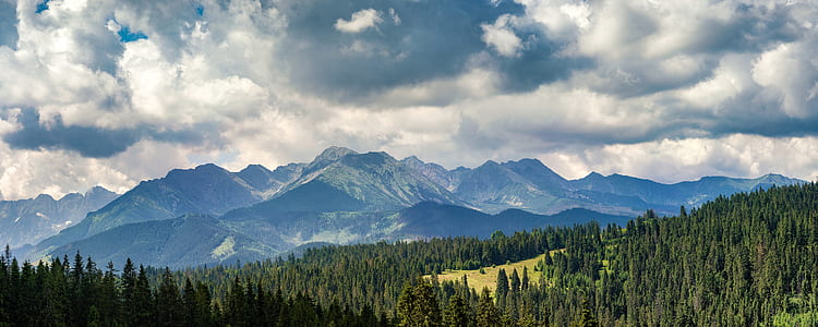 green pine trees field near gray mountain under white cloudy sky thumbnail