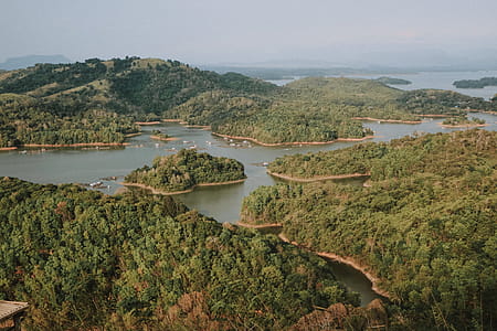 Aerial Photography Of Body Of Water Surrounded By Trees thumbnail