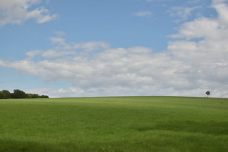 grass field during daytime thumbnail
