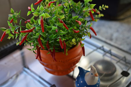 peppers, pot, blur, kitchen thumbnail