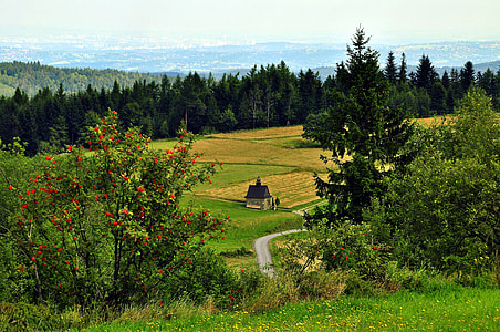 brown wooden house surrounded by green grass field at daytime thumbnail
