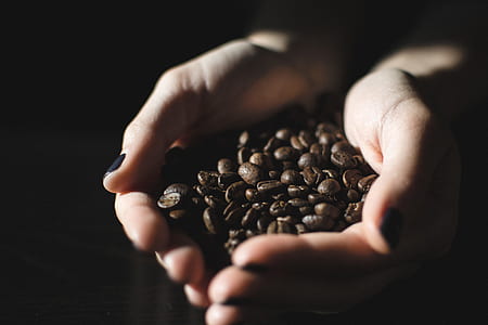 person holding coffee beans thumbnail
