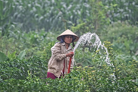 person holding water hose thumbnail