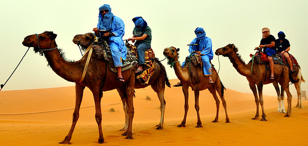 people riding a camel in the desert thumbnail