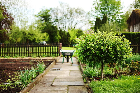 wheelbarrow on concrete pathway beside plowed soil thumbnail