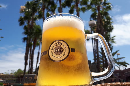 selective focus photo of mug filled with beer thumbnail