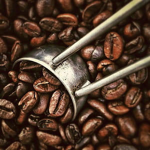 restaurant, beans, caffeine, coffee thumbnail