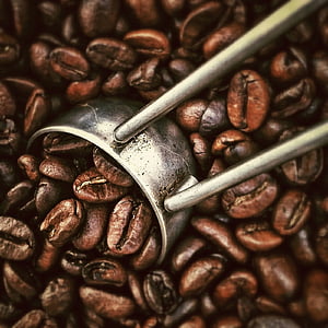 brown coffee beans thumbnail