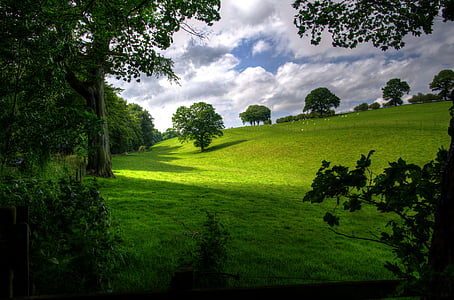green grass field with trees during daytime thumbnail