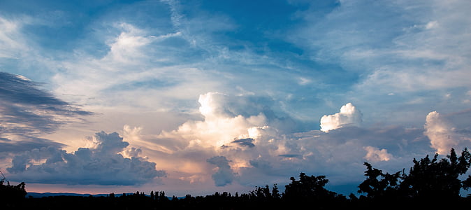 silhouette of trees under blue and cloudy sky at sunset thumbnail