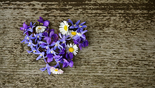 purple and white flowers in brown surface thumbnail