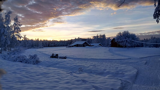 snow-covered cabin surrounded by trees under cloudy sky during twilight thumbnail