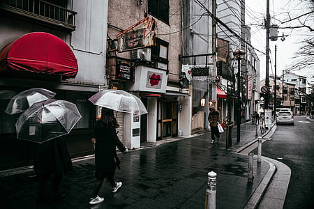 peopel walking on street beside stores thumbnail
