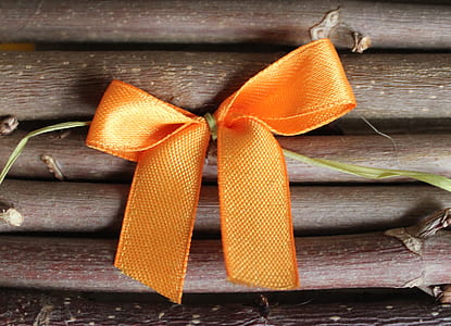 close-up photo of orange bow on brown stems thumbnail