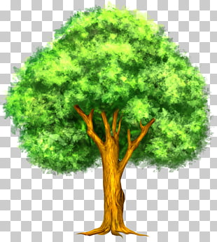 Tree , Green Painted Tree , green leafed tree illustration PNG clipart
