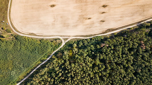 aerial photography of green trees thumbnail