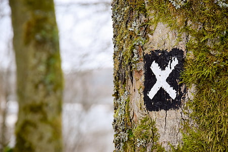 brown tree bark with letter x signage thumbnail